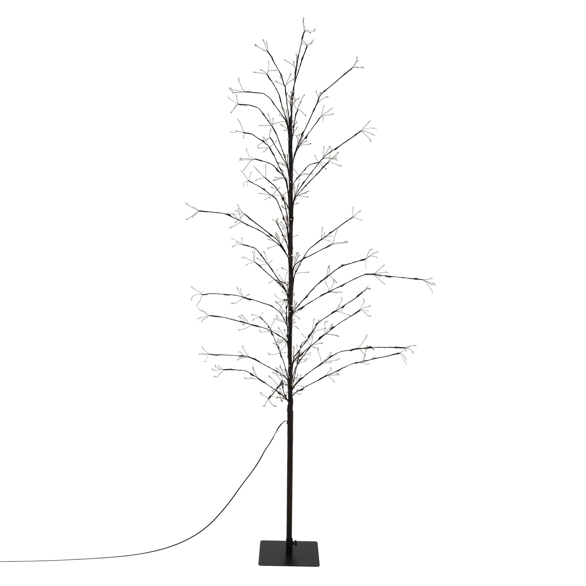 Schlanker, beleuchteter Baum mit dünnen Ästen auf schwarzem Sockel.