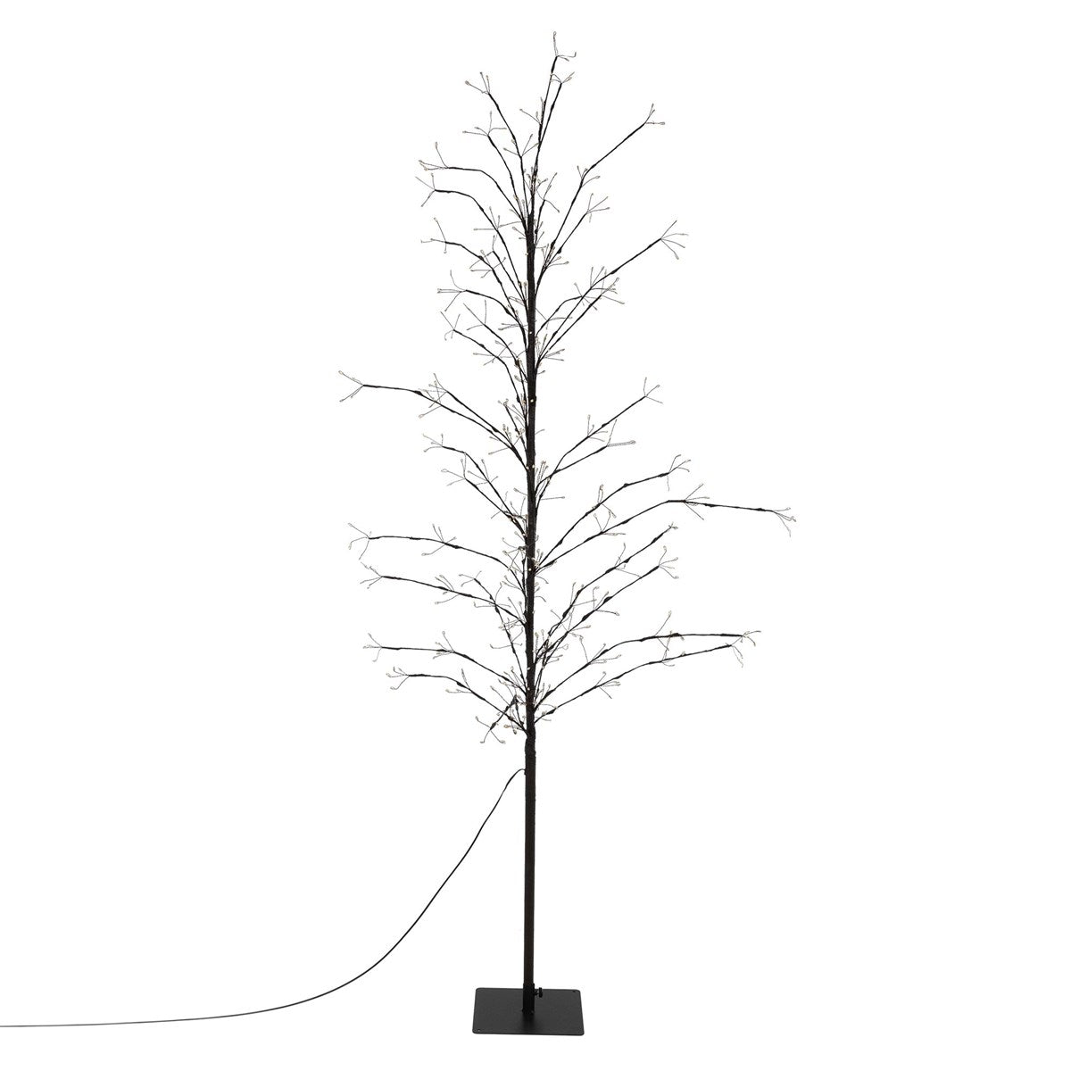Schlanker, beleuchteter Baum mit dünnen Ästen auf schwarzem Sockel.