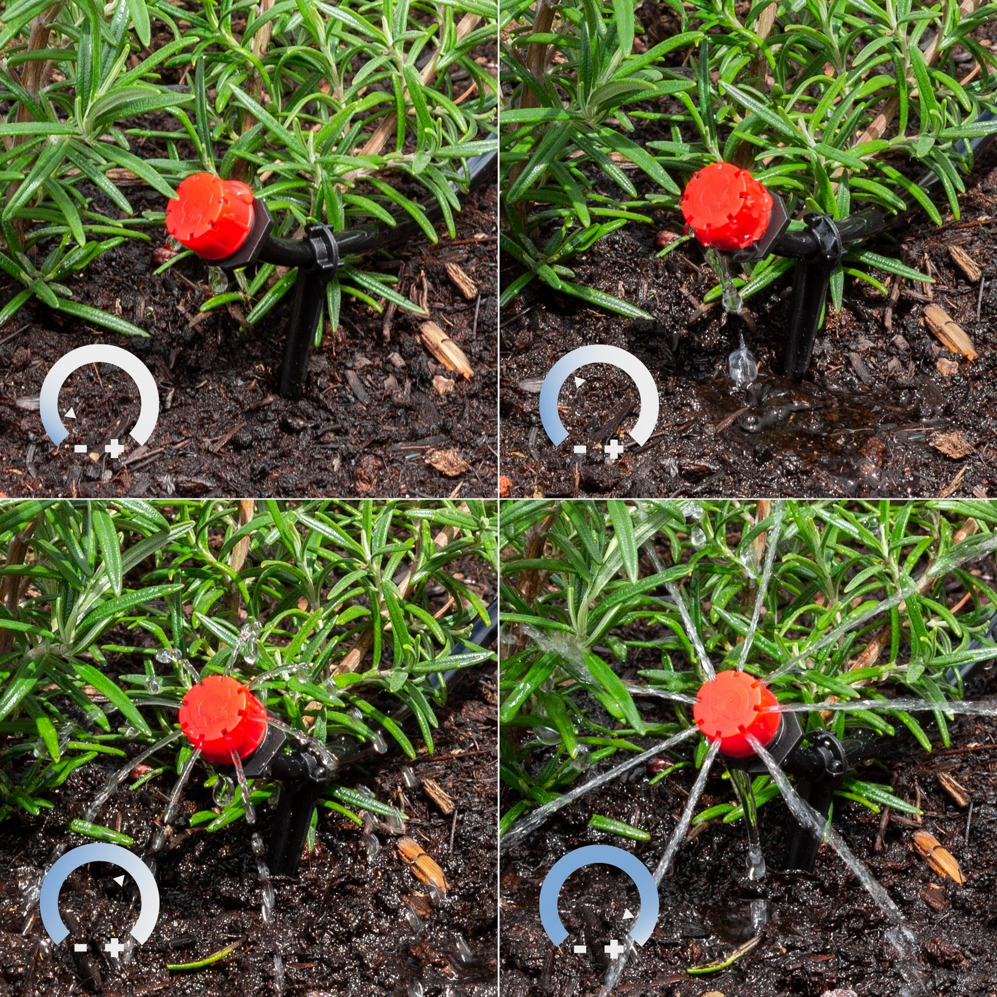 Sistema di irrigazione con un ugello rosso in un'area piantumata.