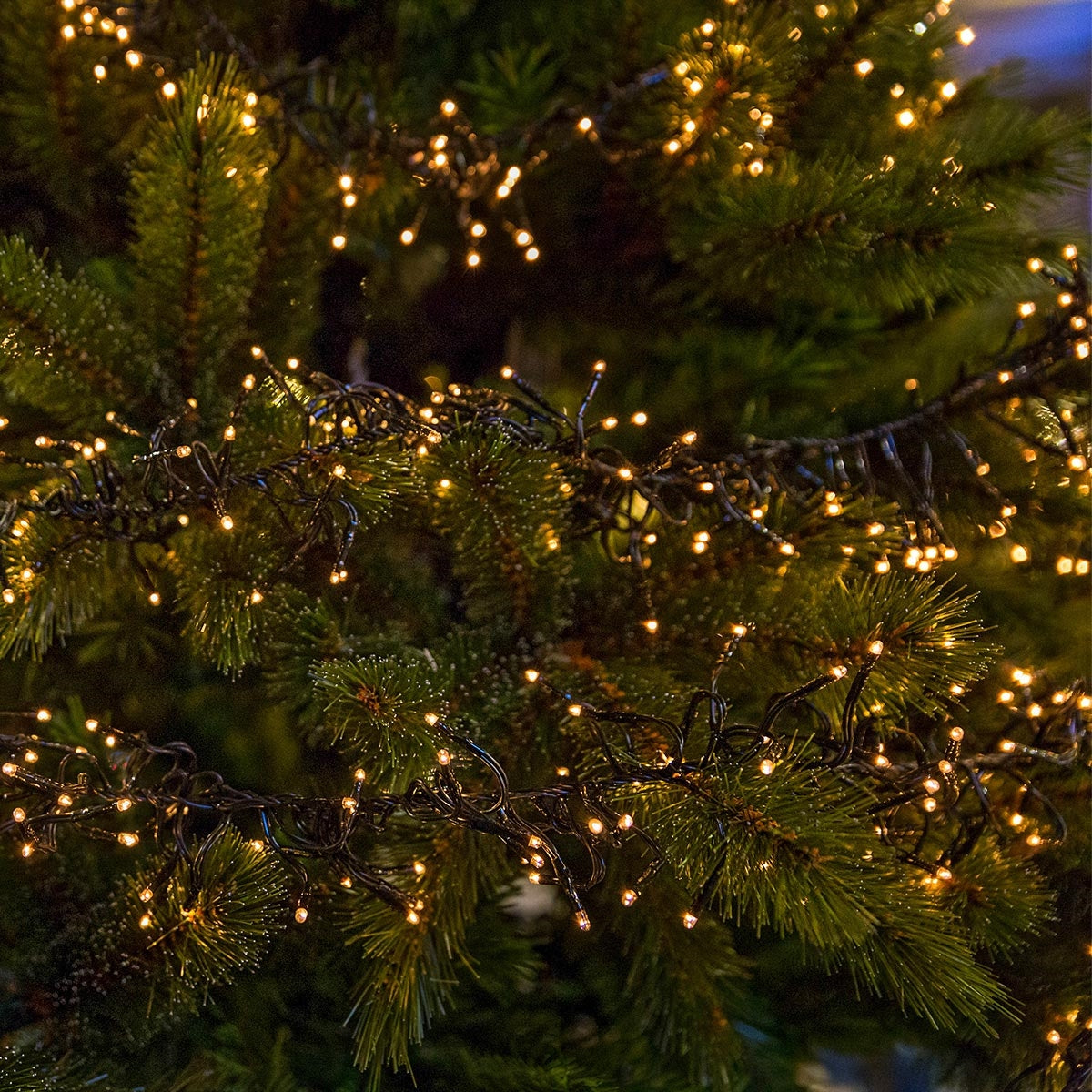 Primer plano de un árbol de Navidad con luces cálidas.
