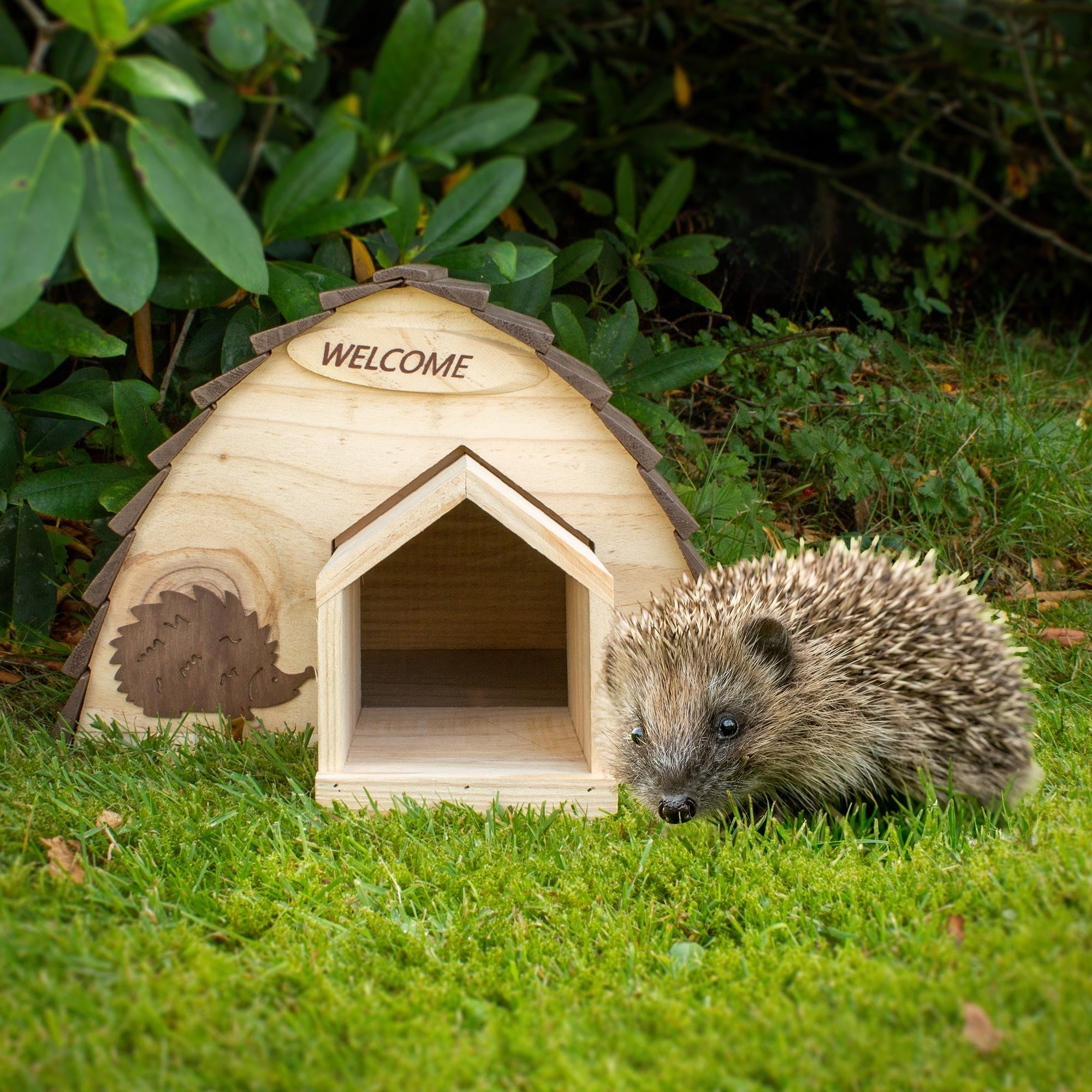 Igel vor einem Holzhaus mit der Aufschrift 'WELCOME' im Garten.