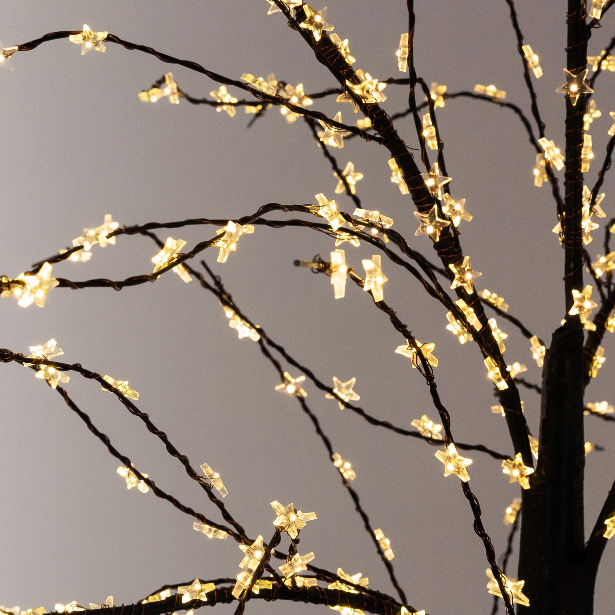 Nahaufnahme eines Baumes mit leuchtenden, sternförmigen Lichtern.