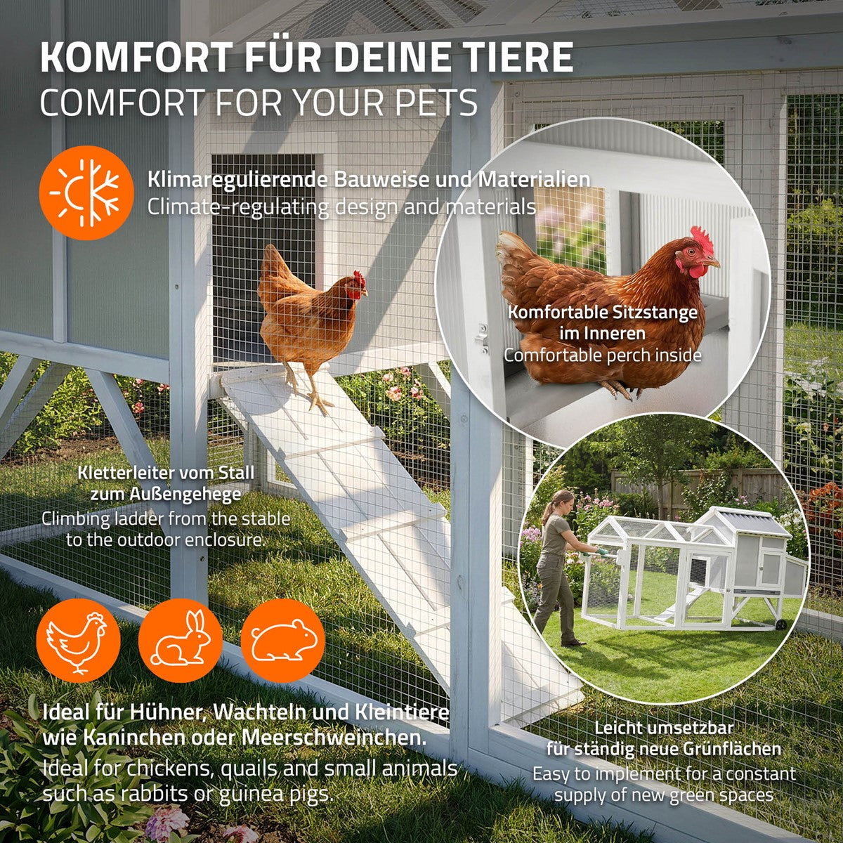 Găini într-un țarc exterior cu un interior confortabil.