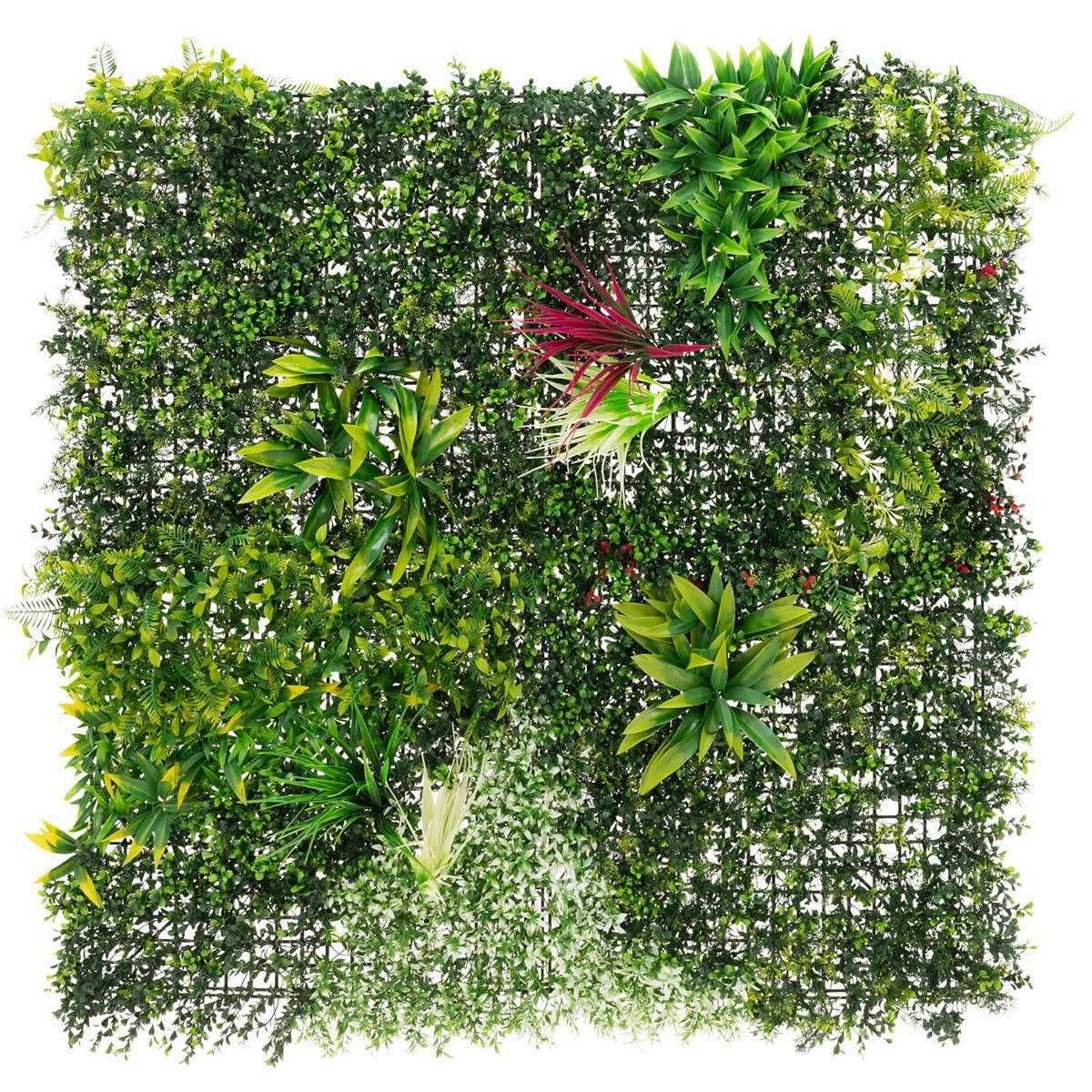 Décoration murale carrée représentant différentes plantes vertes sur un fond blanc.