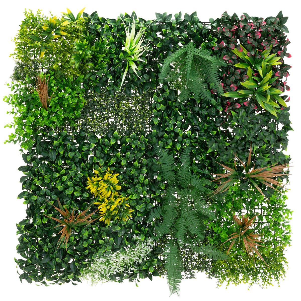 Mur végétal vert composé de différentes espèces de plantes dans un agencement carré.