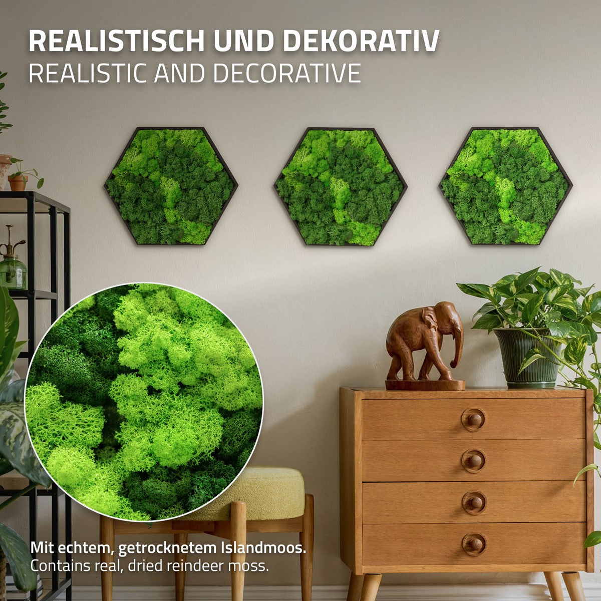 Bild100003_IP-2547_PlusContent_2.jpg