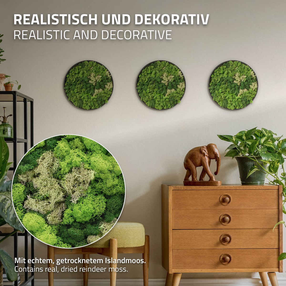 Bild100003_IP-2549_PlusContent_2.jpg