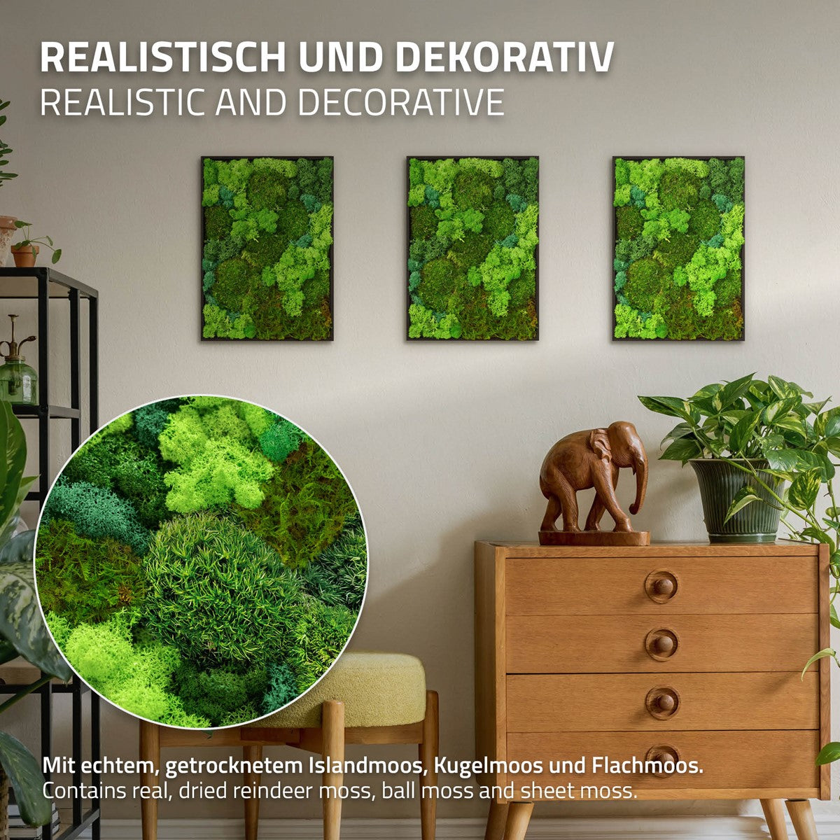 Bild100003_IP-2552_PlusContent_2.jpg