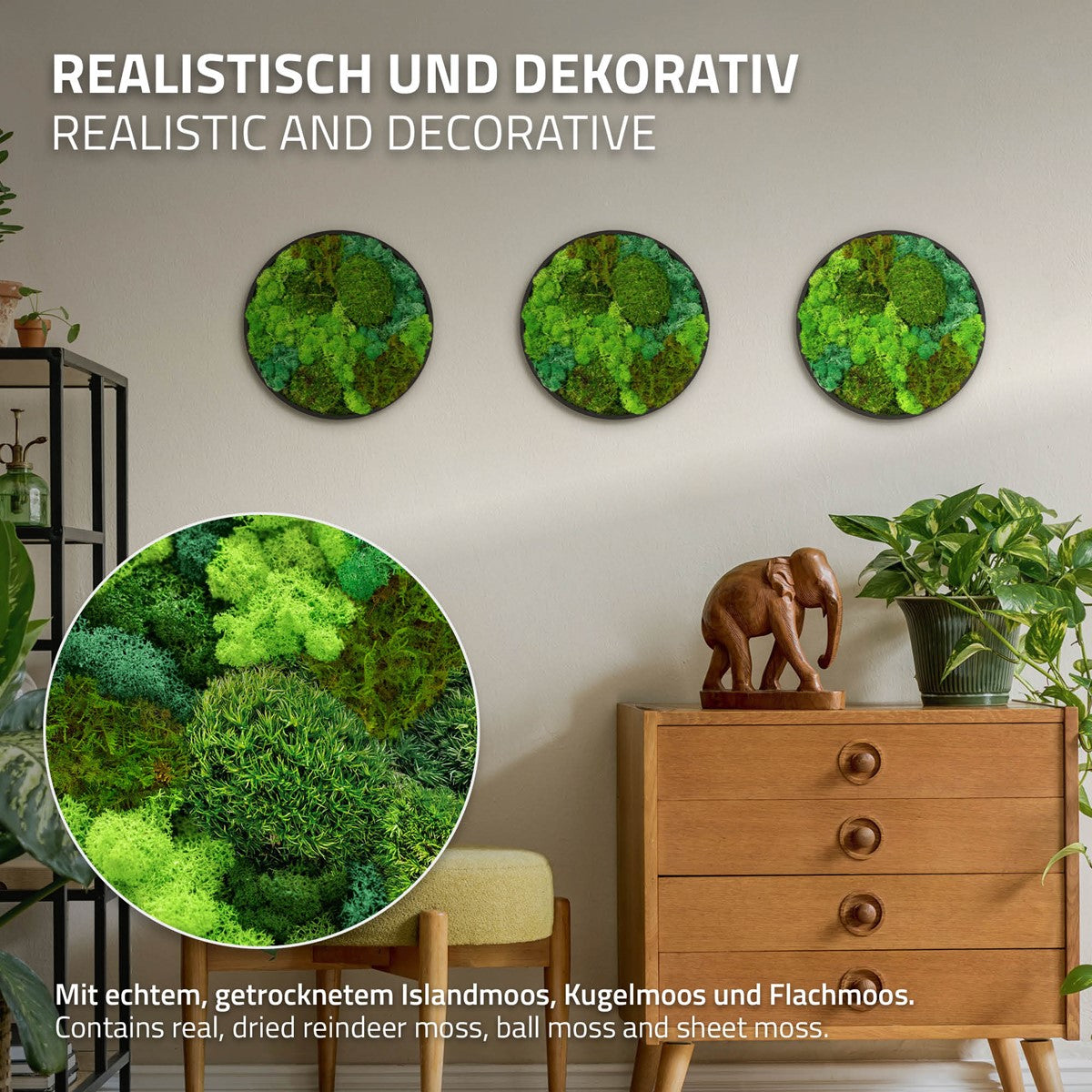 Bild100003_IP-2553_PlusContent_2.jpg