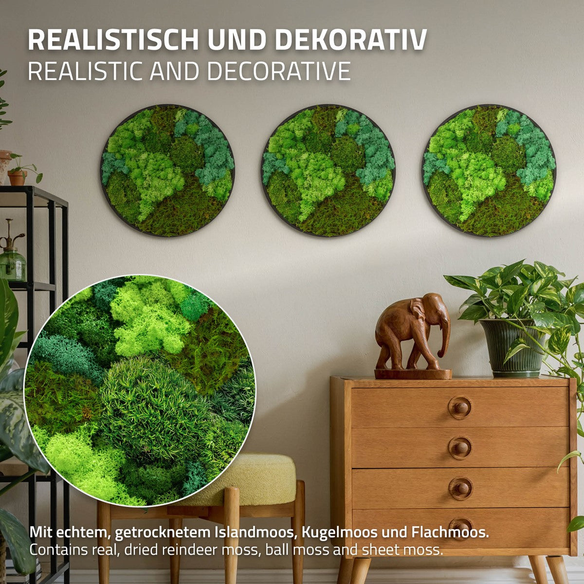 Bild100003_IP-2554_PlusContent_2.jpg