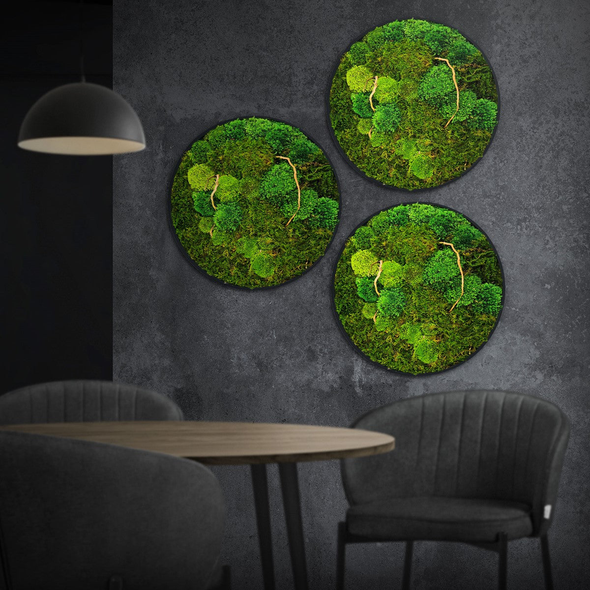 Drei runde grüne Moospanels hängen an einer dunklen Wand über einem Tisch mit zwei Stühlen.