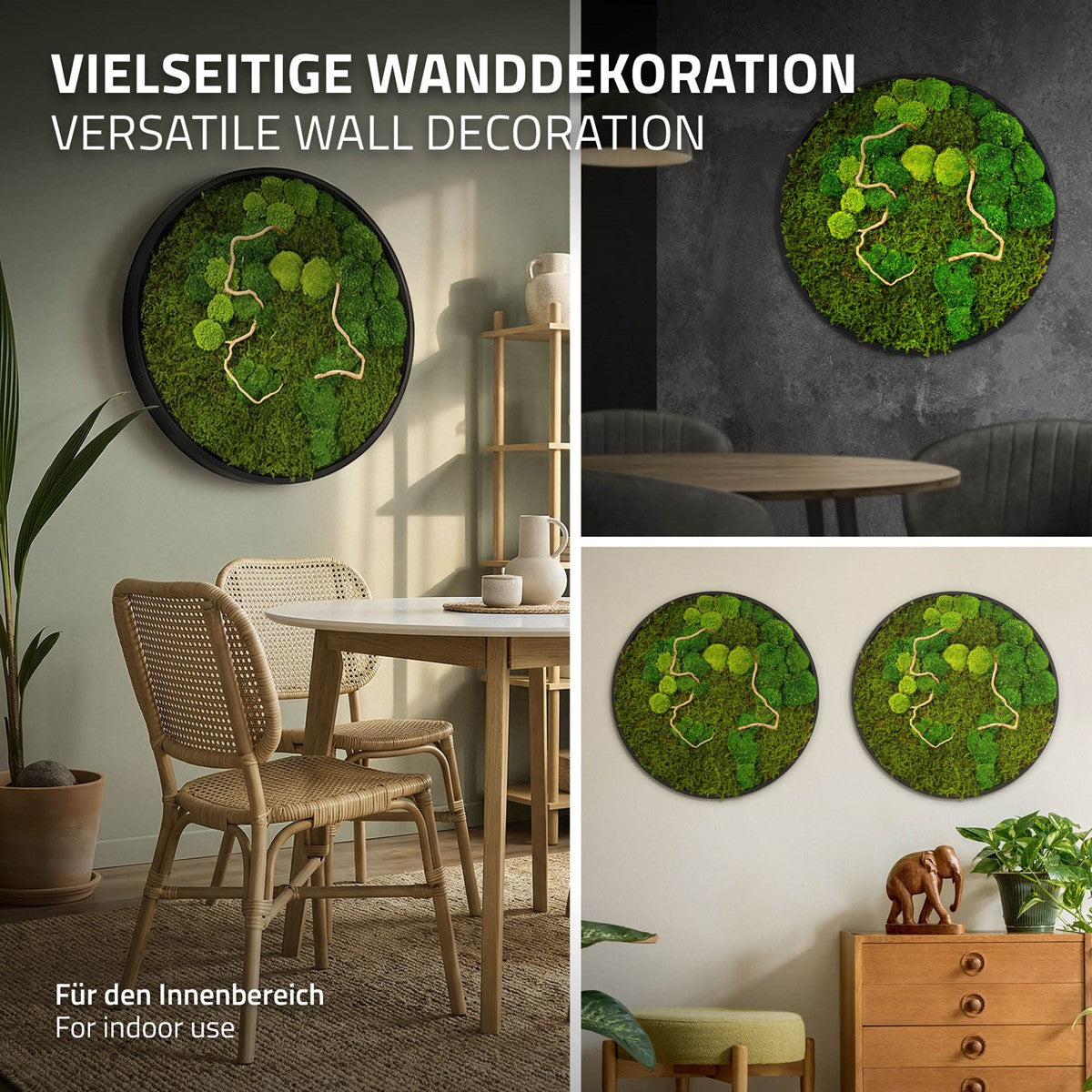 Collage zeigt runde Moosbilder als Wanddekoration in verschiedenen Innenräumen; Text nennt die Verwendung im Innenbereich.
