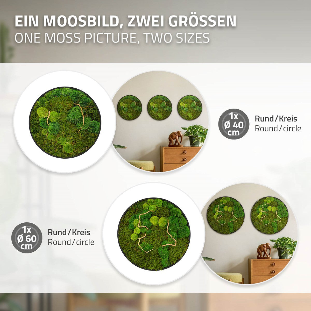 Infografika s okrúhlymi obrazmi z machu vo veľkostiach 40 a 60 cm, samostatne aj na stene v obytných miestnostiach.