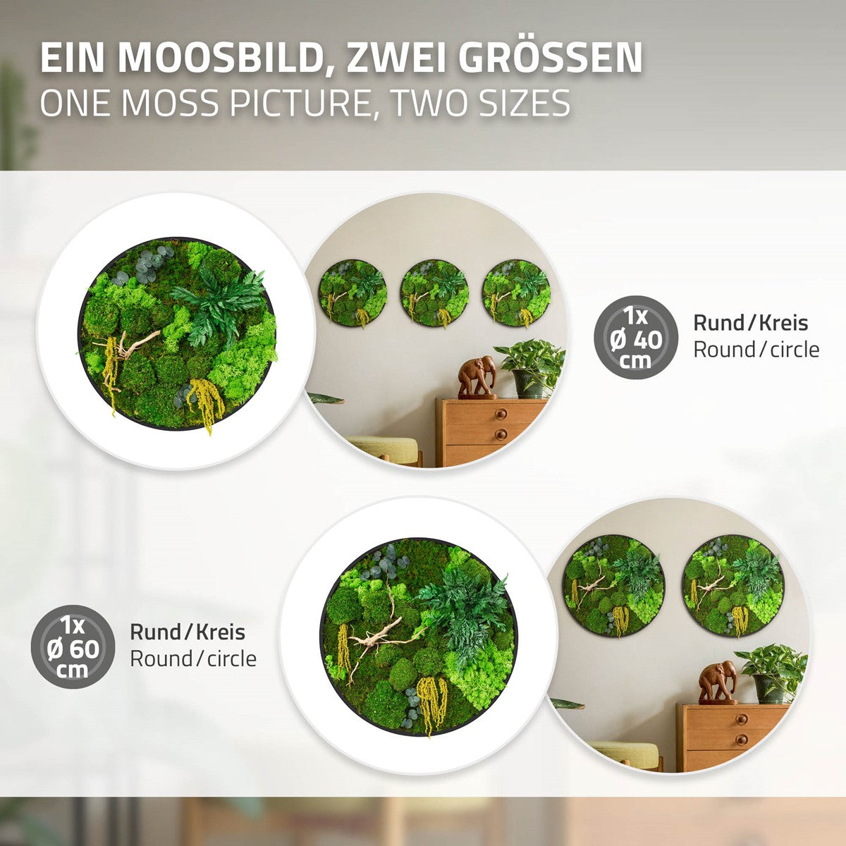 Grafik zeigt runde Moosbilder in den Größen 40 und 60 cm sowie Beispiele an einer Wand.