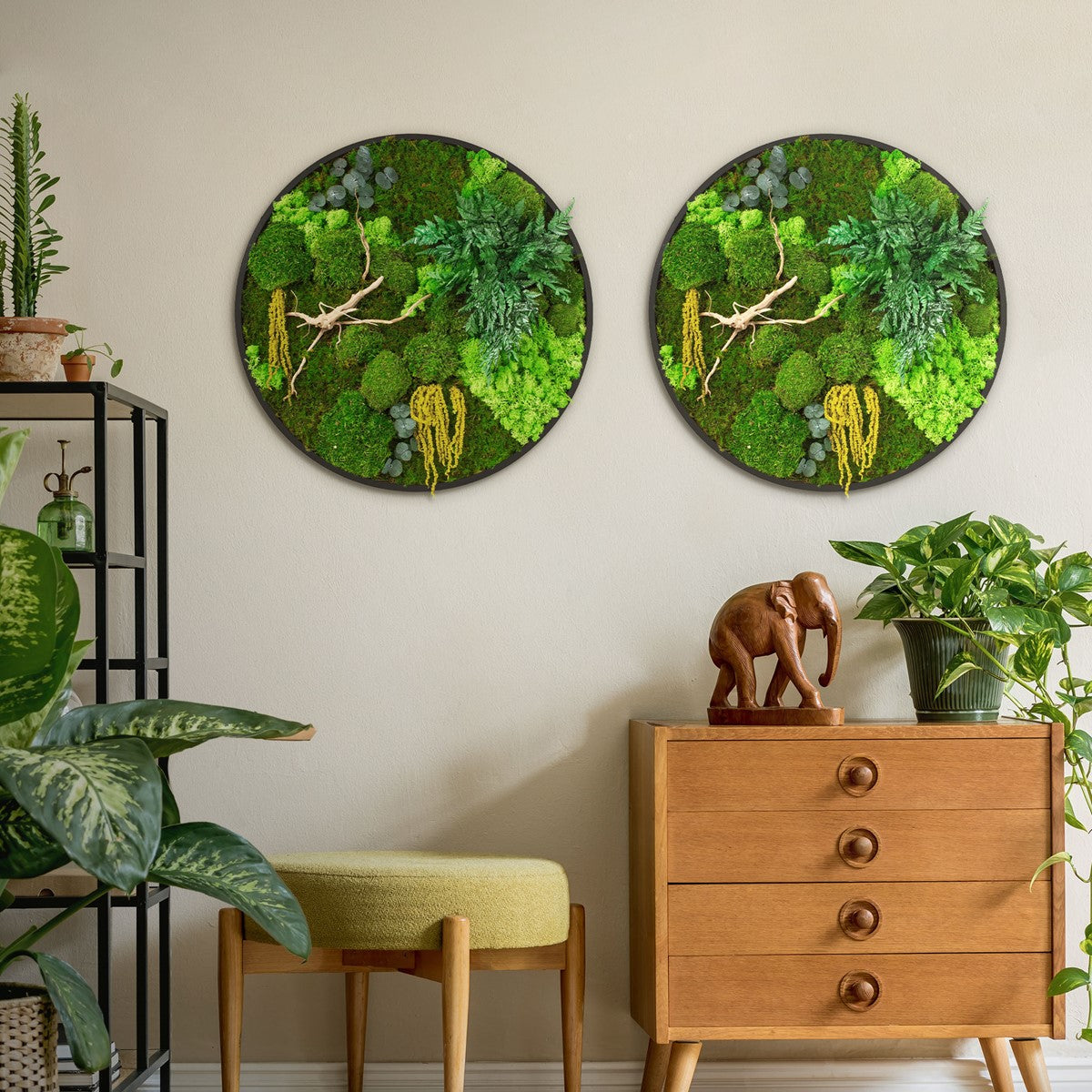 Zwei runde Moosbilder hängen über einer Kommode an einer hellen Wand, umgeben von Zimmerpflanzen.
