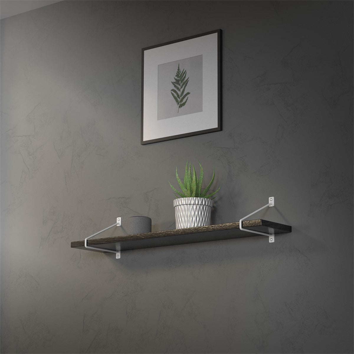 Regalhalter mit Pflanzen auf einem Holzregal an einer grauen Wand.