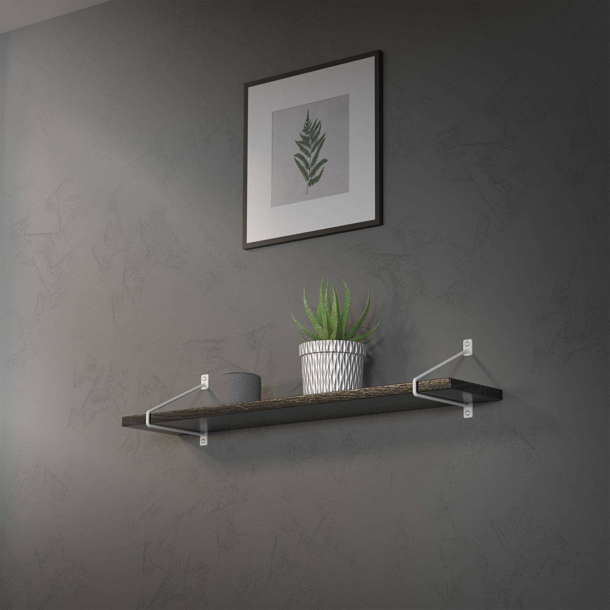 Rekhouder met planten op een houten plank aan een grijze muur.