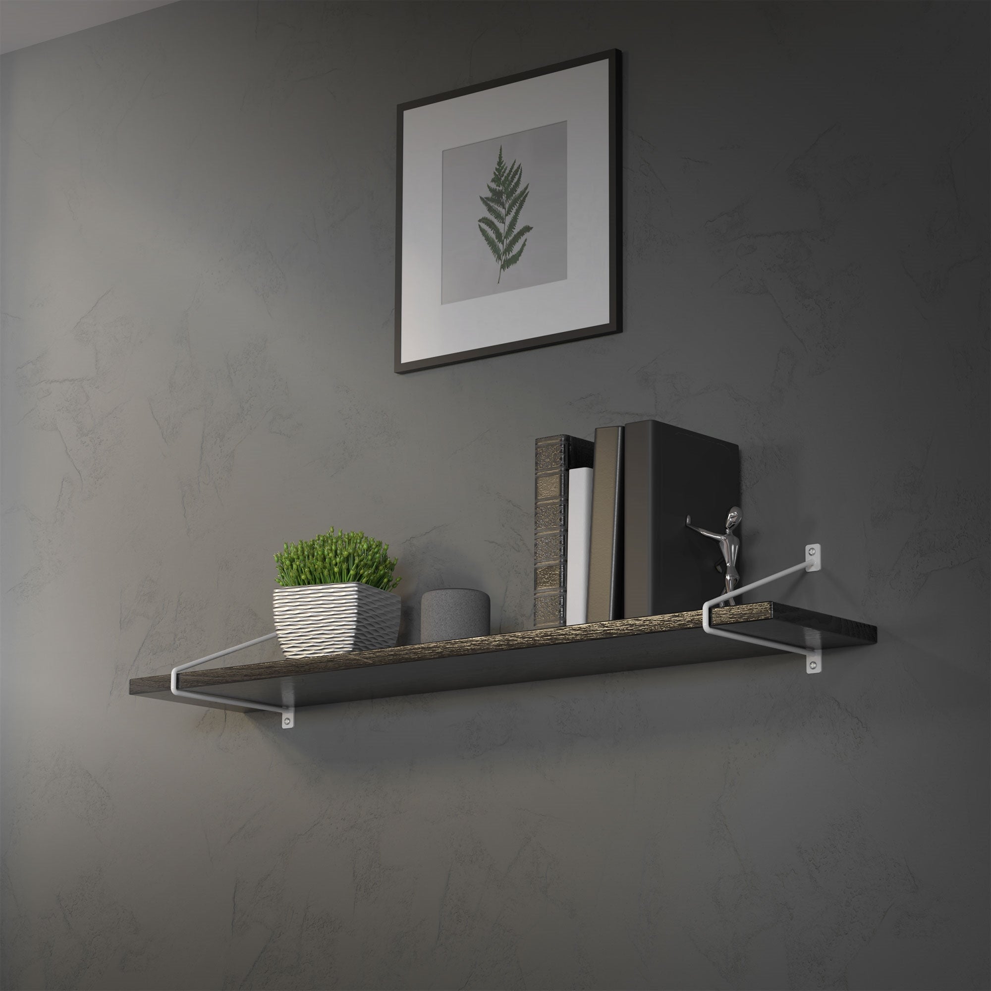 Een plank met planten en boeken aan een wand gemonteerd.
