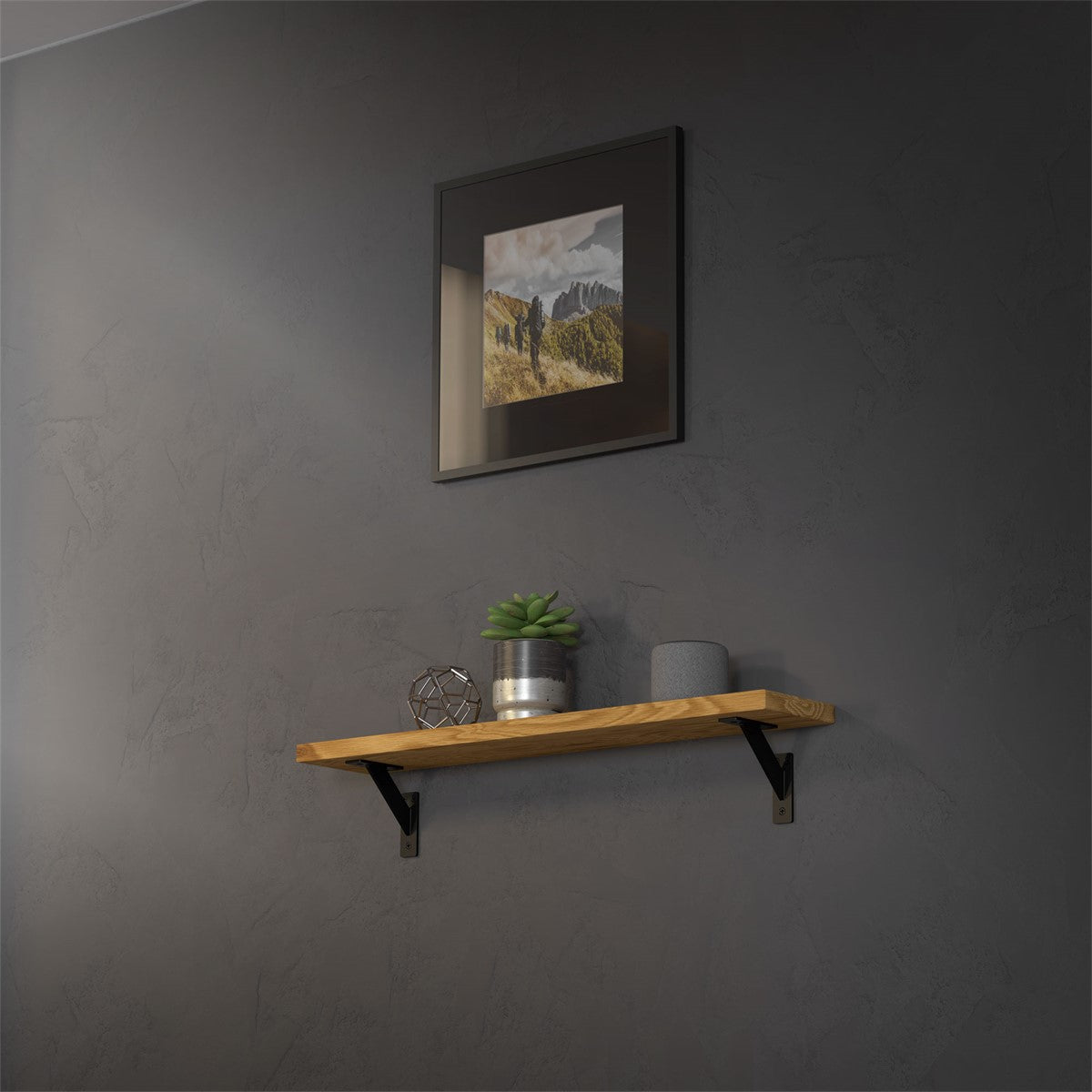 Étagère avec des plantes et un cadre photo sur un mur.