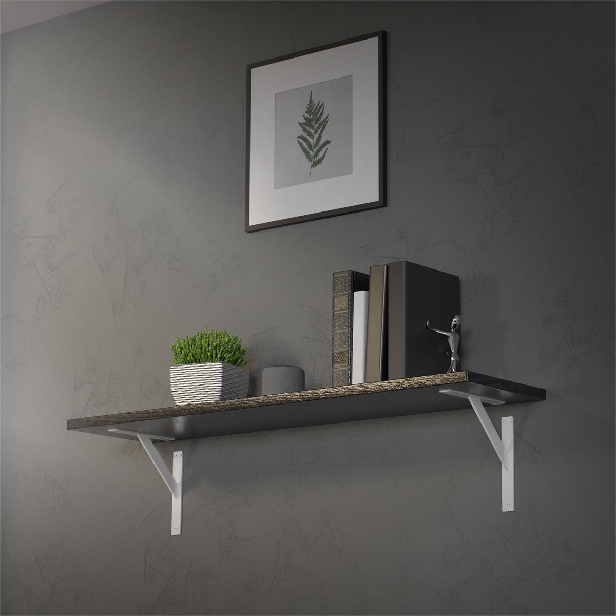Shelf with plants and books on a wall.