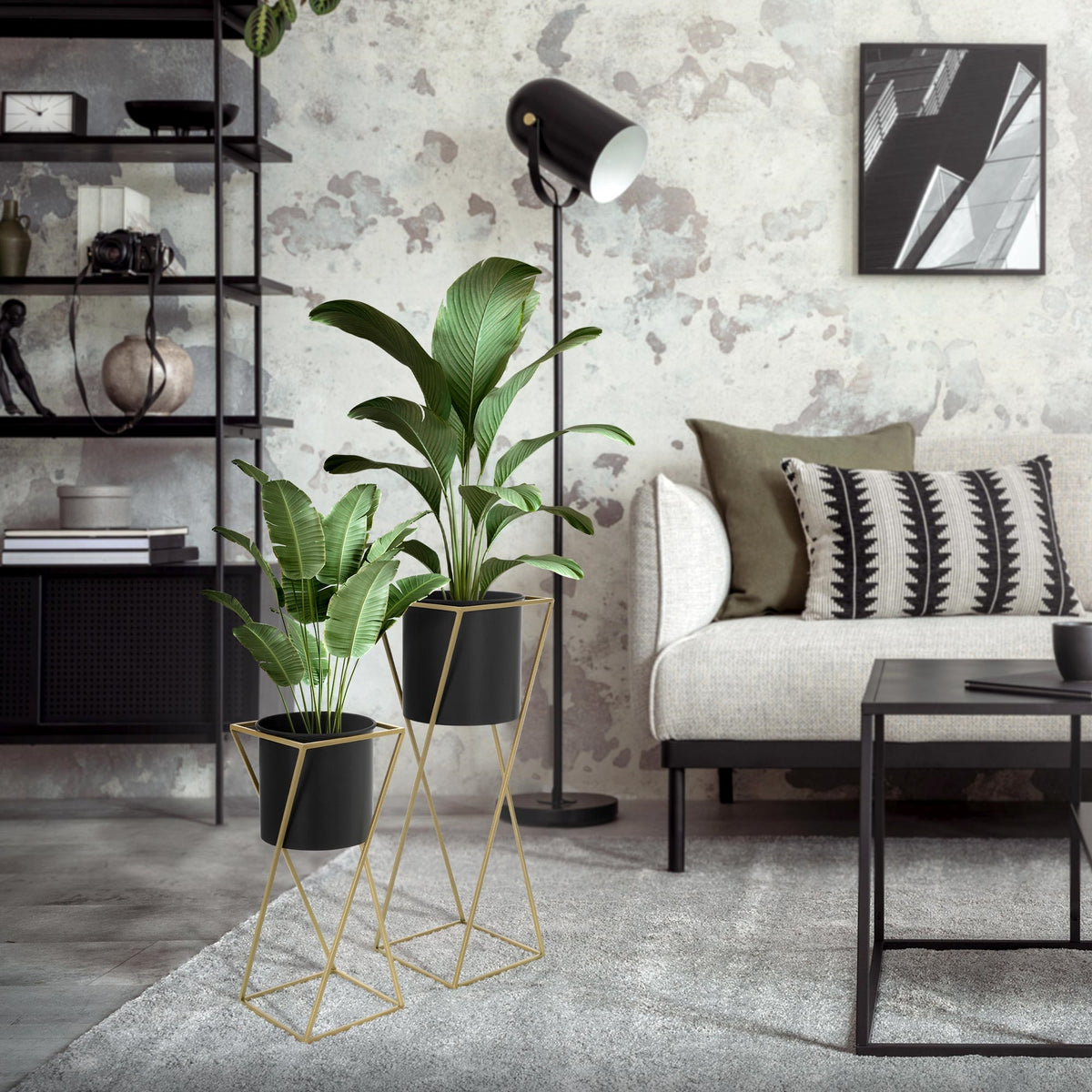 Wohnzimmer mit Pflanzenständern, Sofa und Stehlampe.