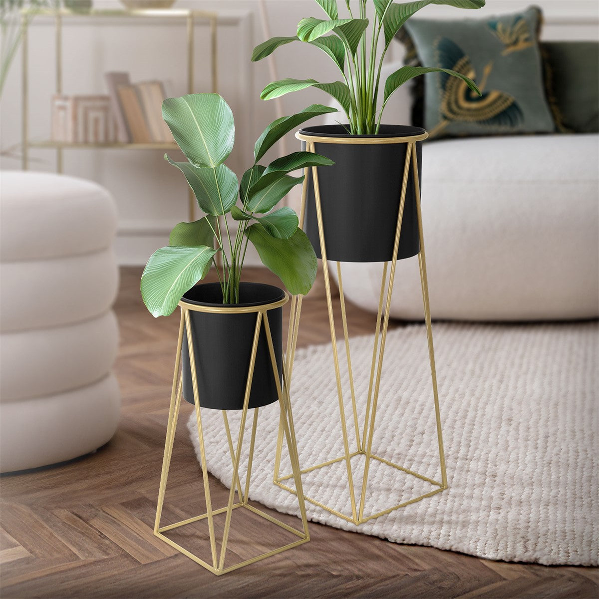 Two black planters on gold stands, surrounded by a bright room.