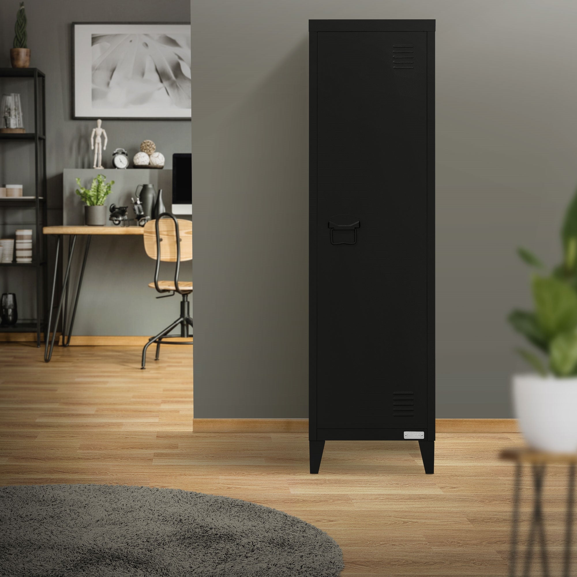 Schwarzer Schrank in einem Raum mit Holzfußboden und Pflanzen.