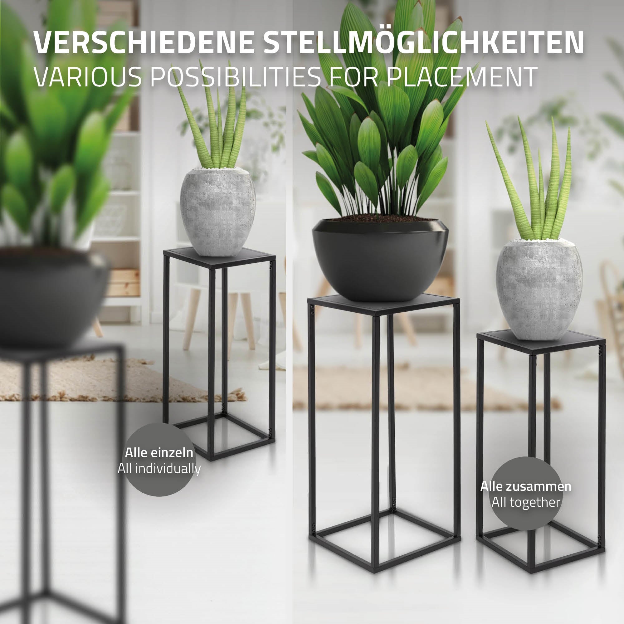 Drei Pflanzen in Töpfen auf verschiedenen Ständern, unterschiedliche Anordnung.