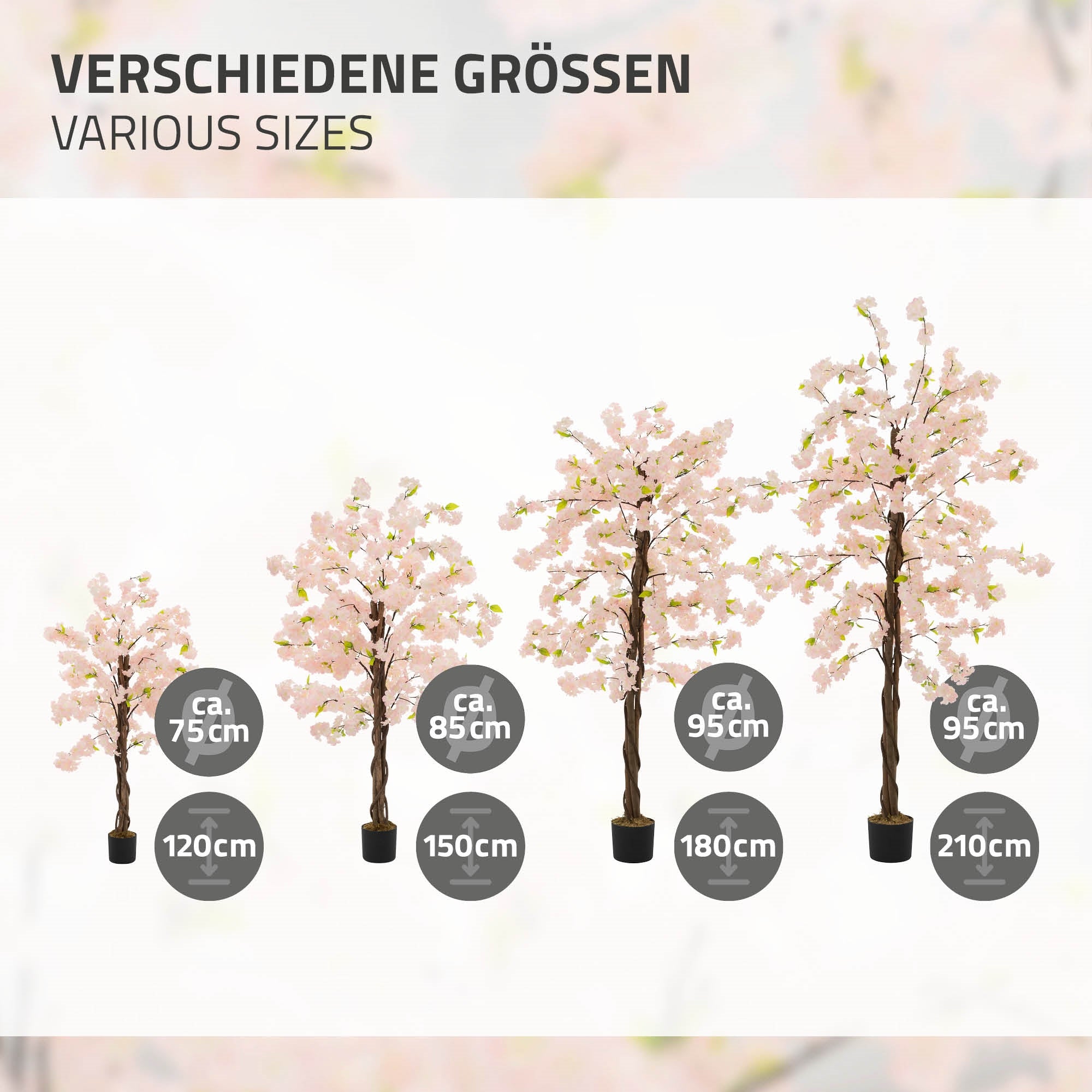 Vier Bäume in verschiedenen Größen, von 75 cm bis 210 cm, mit rosa Blüten.