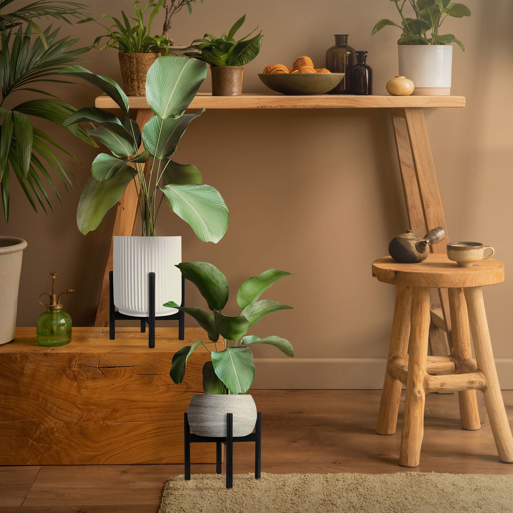 Una estantería de madera con plantas y macetas en una habitación.
