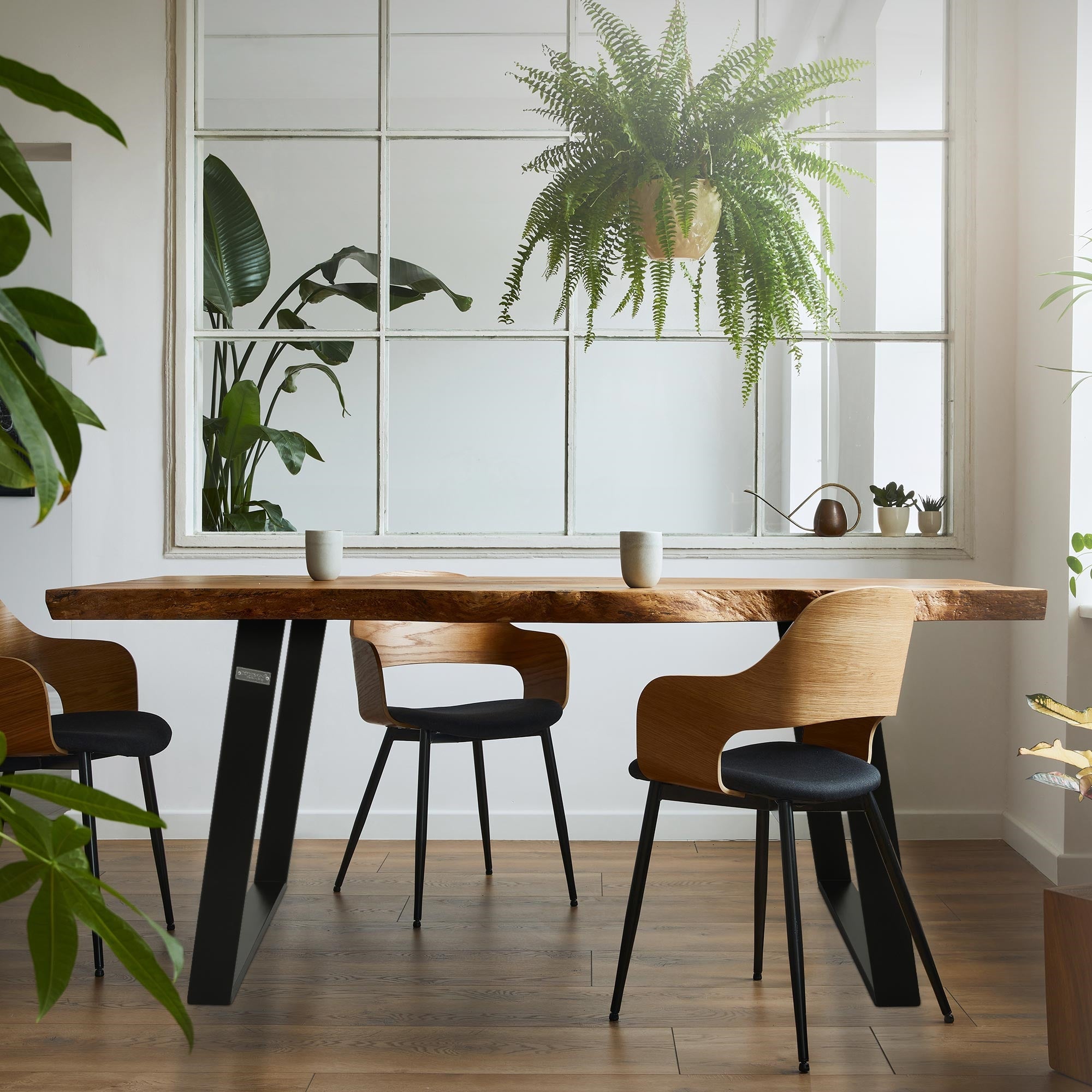 Ein moderner Esstisch aus Holz mit schwarzen Stuhlbeinen und Pflanzen im Hintergrund.