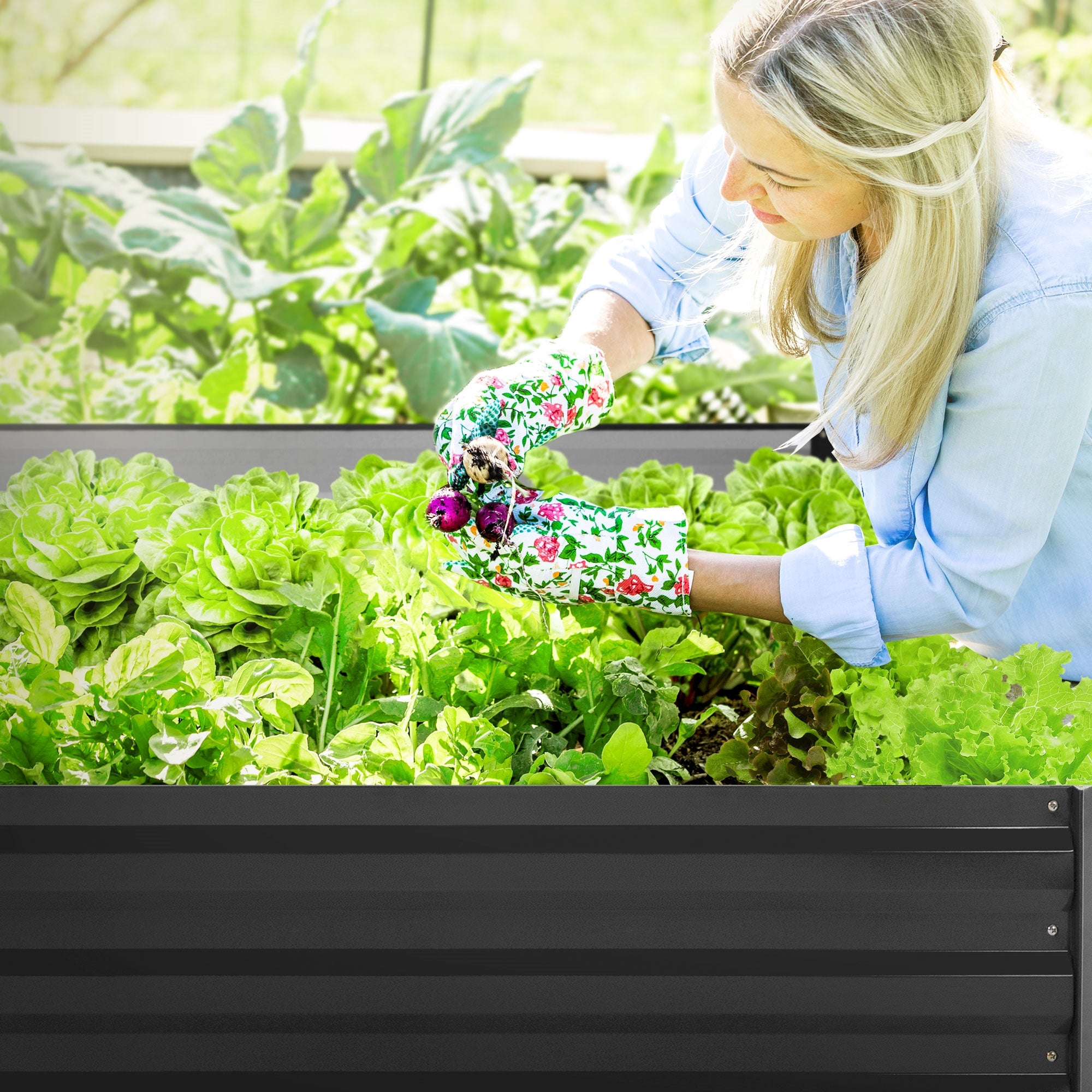 Frau mit Blumenhandschuhen erntet Gemüse aus einem Hochbeet.
