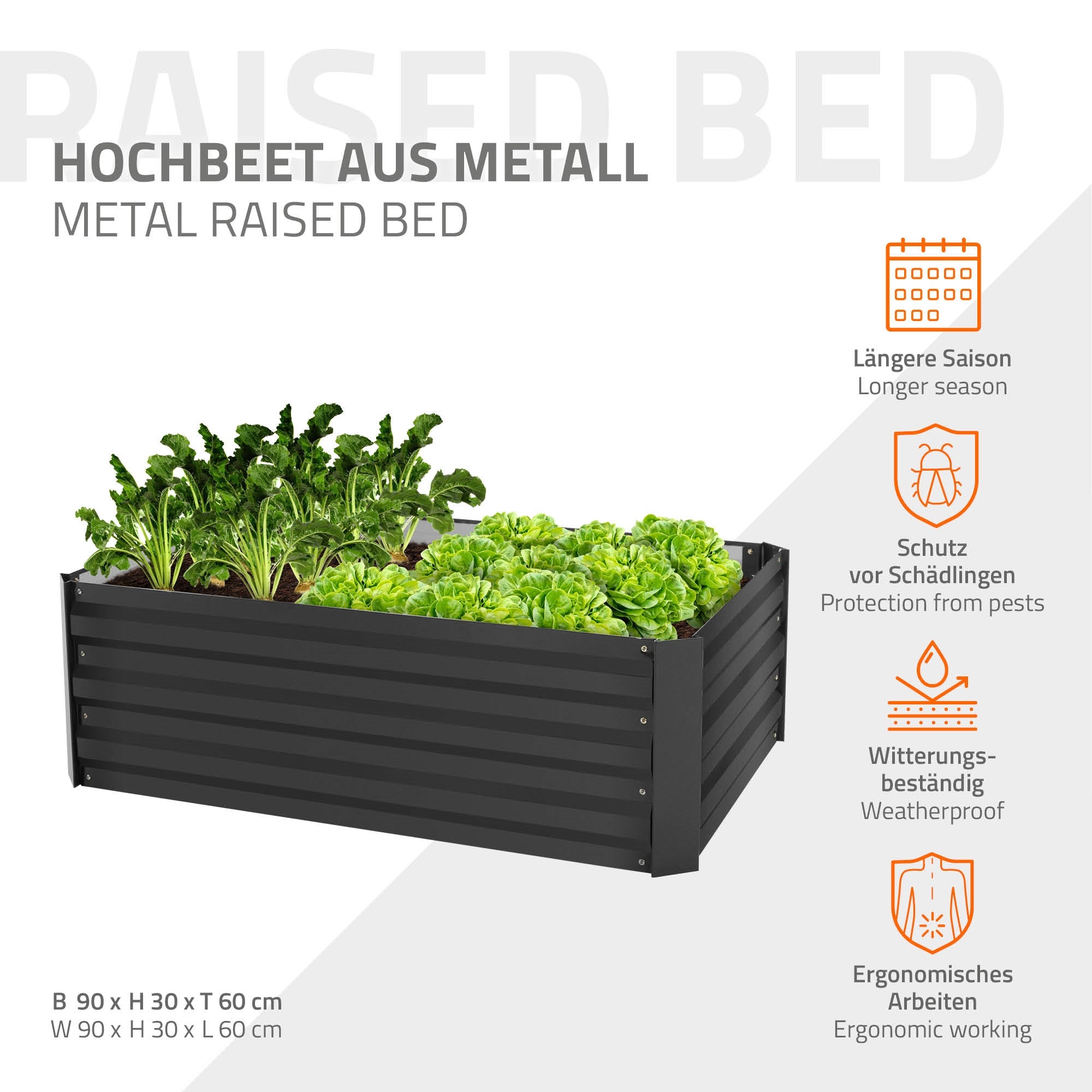 Hochbeet aus Metall mit Salat und Rucola, Maße und Vorteile aufgelistet.