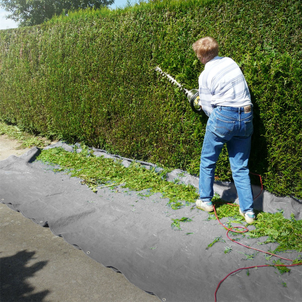 Person schneidet eine Hecke, Plane liegt darunter.